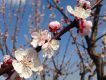 è arrivata la primavera